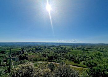 vista view - Independent house Via delle Primule 26, Montecchio - photo 23