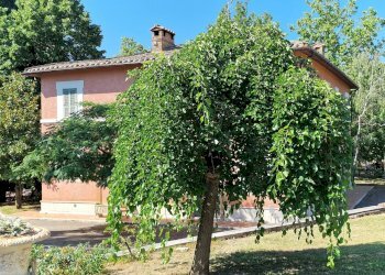 20260626_095853 - Villa Strada di Collevaglione, Narni - photo 30