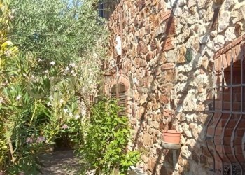 IMG20260707094634 - Casale Località Podere di Mezzo 16 16, Gavorrano - foto 17