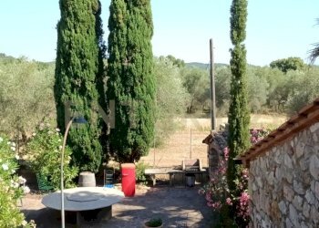 IMG20260707095124 - Casale Località Podere di Mezzo 16 16, Gavorrano - foto 26