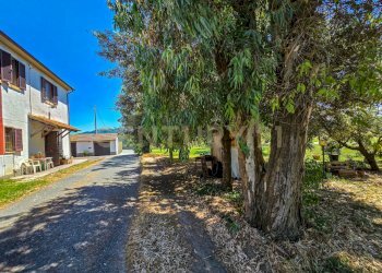 Podere ingegnare-09 - Semi-detached house Via dell'Ingegnere - Loc. Olmini, Roccastrada - photo 15