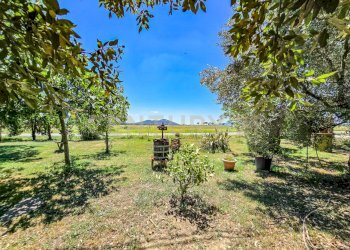 Podere ingegnare-10 - Semi-detached house Via dell'Ingegnere - Loc. Olmini, Roccastrada - photo 16