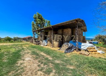 Podere ingegnare-13 - Semi-detached house Via dell'Ingegnere - Loc. Olmini, Roccastrada - photo 19