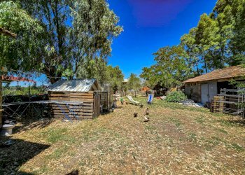 Podere ingegnare-17 - Semi-detached house Via dell'Ingegnere - Loc. Olmini, Roccastrada - photo 23