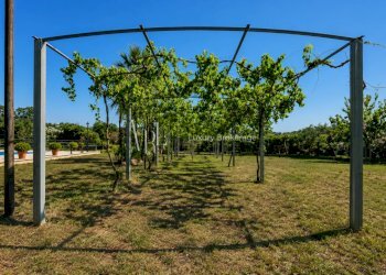 18.2 - Independent house Roma - photo 24