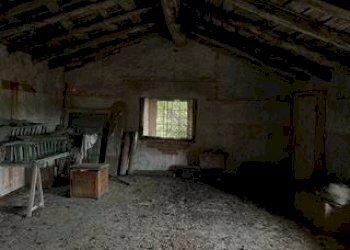 Stable - Palace Busca - photo 22