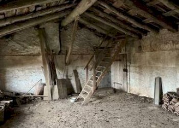 Stable - Palace Busca - photo 23