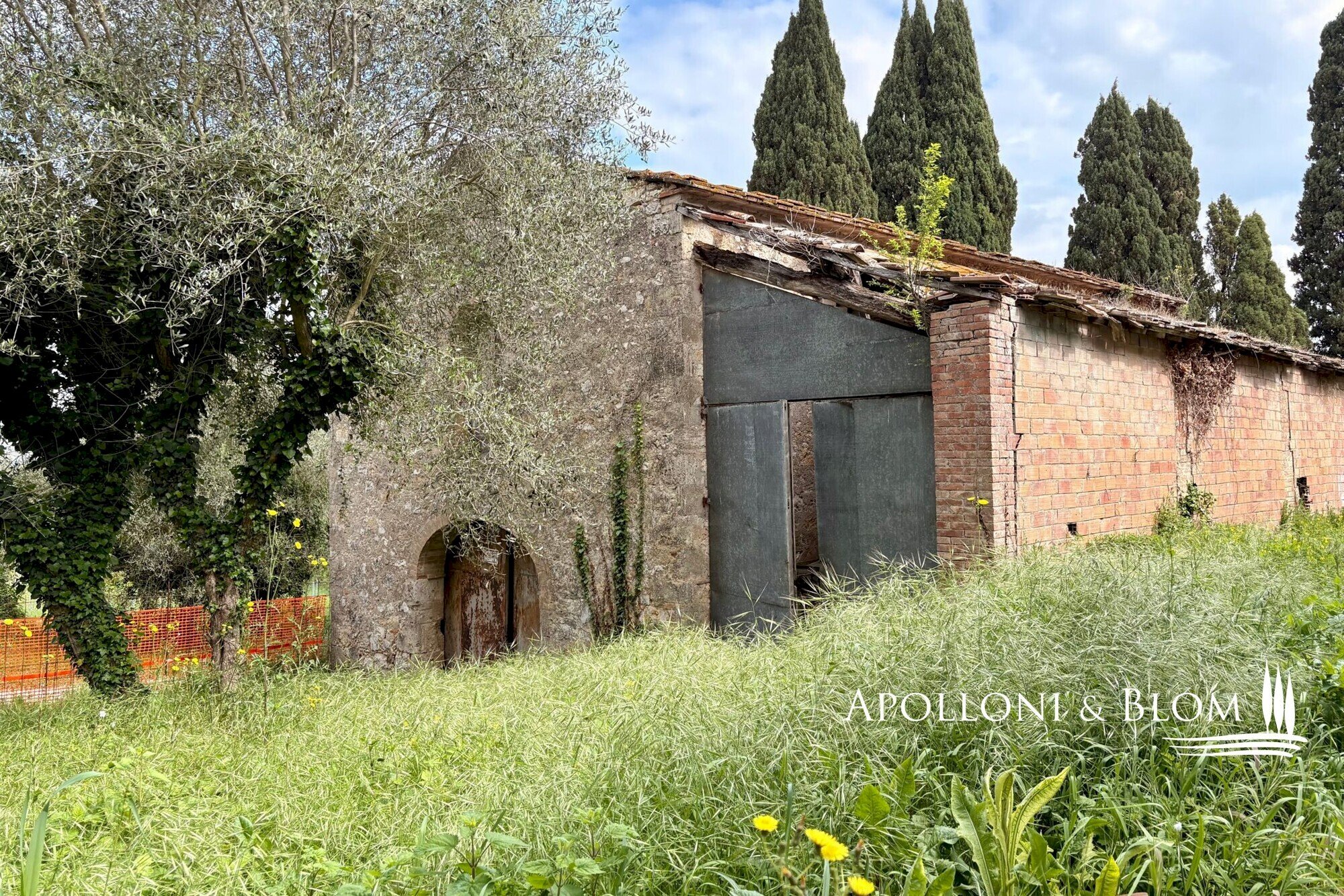 Rustico Strada Provinciale di Monteriggioni, 74, Monteriggioni - foto 2