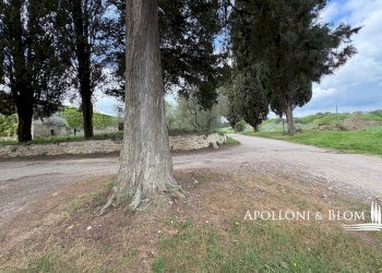 Rustico Strada Provinciale di Monteriggioni, 74, Monteriggioni - foto 21