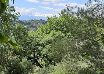 Building land Strada Vicinale Agostinone, Montesilvano - photo 7