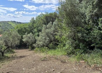 Building land Strada Vicinale Agostinone, Montesilvano - photo 12