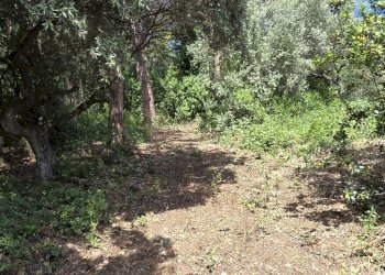 Building land Strada Vicinale Agostinone, Montesilvano - photo 14