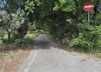 Building land Strada Vicinale Agostinone, Montesilvano - photo 15