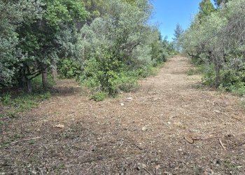 Building land Strada Vicinale Agostinone, Montesilvano - photo 18