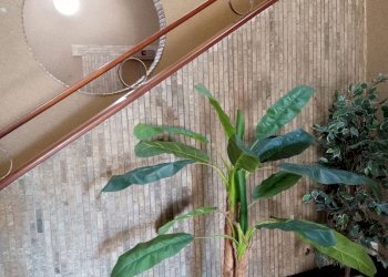Four-room apartment via G.Opisso, Genova (neighborhood Pegli) - photo 29