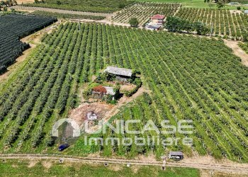Cascina Via Rivoira, 13, Bibiana - foto 15