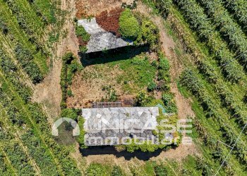 Cascina Via Rivoira, 13, Bibiana - foto 20