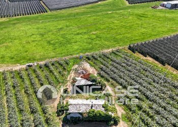 Cascina Via Rivoira, 13, Bibiana - foto 21