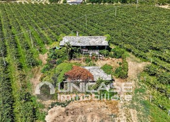 Cascina Via Rivoira, 13, Bibiana - foto 25