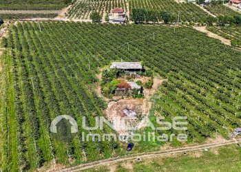 Cascina Via Rivoira, 13, Bibiana - foto 26