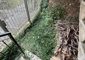 Foto 33 - Rustico frazione vellego, Casanova Lerrone - foto 33