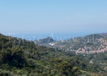 Foto 1 - Terreno edificabile C.so B.Leone, Seborga - foto 1