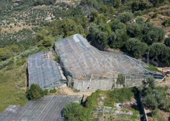 Foto 4 - Terreno edificabile C.so B.Leone, Seborga - foto 4
