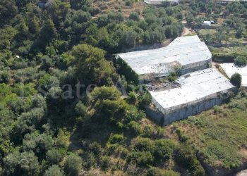 Foto 10 - Terreno edificabile C.so B.Leone, Seborga - foto 10