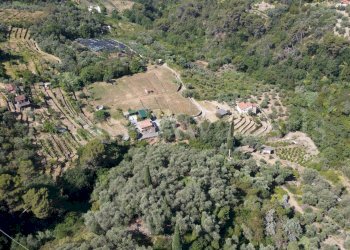 Foto 12 - Terreno edificabile C.so B.Leone, Seborga - foto 12