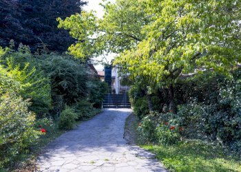 Giardino - Villa VIA GIROLA
 
10, Besano - photo 2