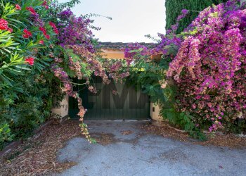 Giardino - Villa Via Folgaria
100, Roma - photo 53