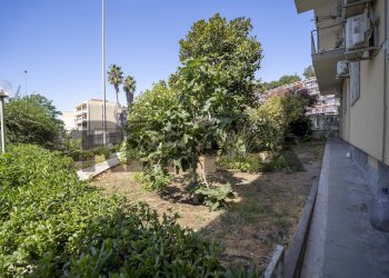 Giardino - Apartment Via Etnea
 
46, Gravina di Catania - photo 3