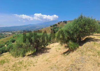 Vista delle montagne - Terreno agricolo Strada Quaderara Castellace
snc, Calatabiano - foto 13