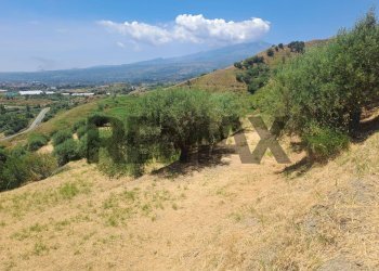 Vista delle montagne - Terreno agricolo Strada Quaderara Castellace
snc, Calatabiano - foto 15