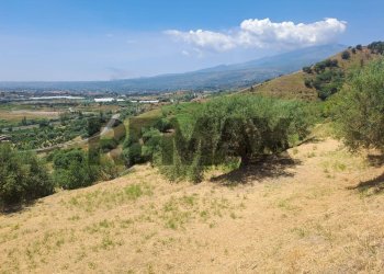 Vista delle montagne - Terreno agricolo Strada Quaderara Castellace
snc, Calatabiano - foto 18