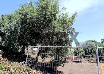 Giardino - Terreno edificabile Via filippo timpanaro
Snc, San Pietro Clarenza - foto 3