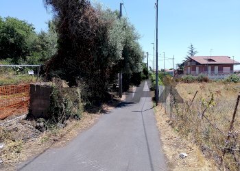 Non correlato - Terreno edificabile Via filippo timpanaro
Snc, San Pietro Clarenza - foto 9