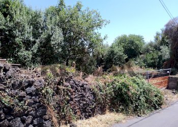 Giardino - Terreno edificabile Via filippo timpanaro
Snc, San Pietro Clarenza - foto 10