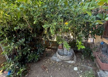 Giardino - Terraced Villa C/DA BUFFONE
 
SNC, Acquedolci - photo 19