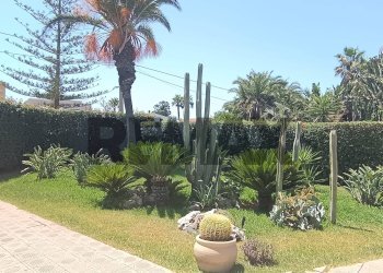Giardino - Villa contrada terreni nuovi San lorenzo prima strada
 
9, Noto - photo 4