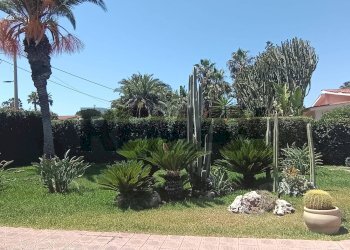 Giardino - Villa contrada terreni nuovi San lorenzo prima strada
 
9, Noto - photo 5