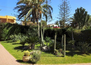 Giardino - Villa contrada terreni nuovi San lorenzo prima strada
 
9, Noto - photo 7
