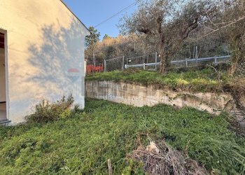 Giardino - Casa indipendente Strada provinciale 4
 
7, Tovo San Giacomo - foto 4