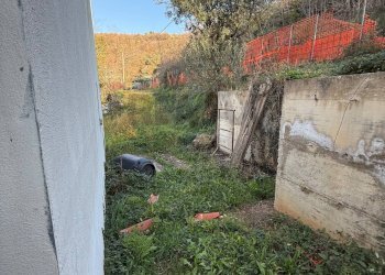 Giardino - Casa indipendente Strada provinciale 4
 
7, Tovo San Giacomo - foto 29