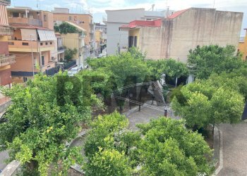 Giardino - Independent house via Marconi
 
1, Sant'Anastasia - photo 29