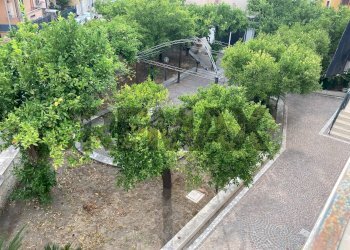 Giardino - Casa indipendente via Marconi
 
1, Sant'Anastasia - foto 8