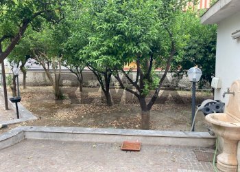 Giardino - Casa indipendente via Marconi
 
1, Sant'Anastasia - foto 12