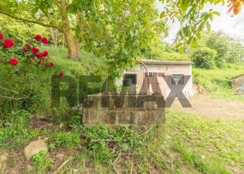 Casa all\'aperto - Terreno agricolo Località Pan Del Duca
snc, Ischia di Castro - foto 9