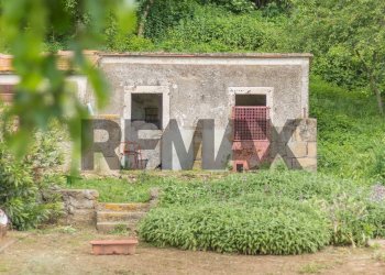 Casa all\'aperto - Terreno agricolo Località Pan Del Duca
snc, Ischia di Castro - foto 13