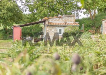 Casa all\'aperto - Terreno agricolo Località Pan Del Duca
snc, Ischia di Castro - foto 29